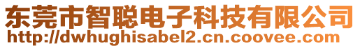 東莞市智聰電子科技有限公司