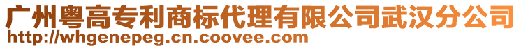 廣州粵高專利商標(biāo)代理有限公司武漢分公司