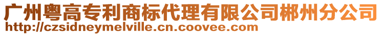 廣州粵高專利商標(biāo)代理有限公司郴州分公司