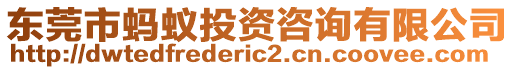 東莞市螞蟻投資咨詢有限公司