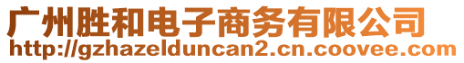 廣州勝和電子商務(wù)有限公司