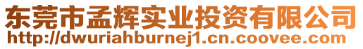 東莞市孟輝實業(yè)投資有限公司