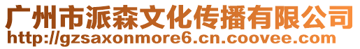 广州市派森文化传播有限公司