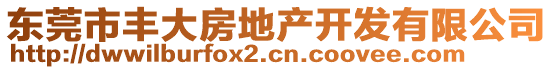 东莞市丰大房地产开发有限公司