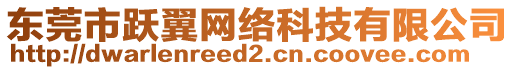 東莞市躍翼網(wǎng)絡(luò)科技有限公司