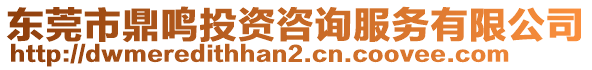 東莞市鼎鳴投資咨詢服務有限公司