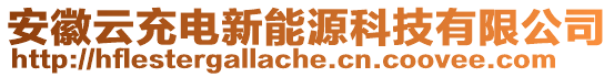 安徽云充電新能源科技有限公司