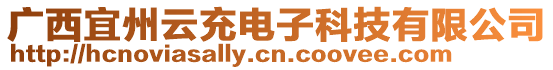 廣西宜州云充電子科技有限公司