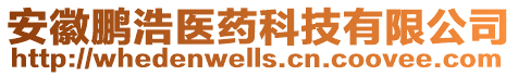 安徽鹏浩医药科技有限公司