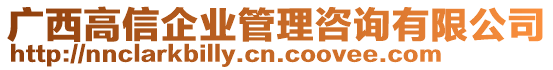 廣西高信企業(yè)管理咨詢有限公司