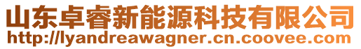 山東卓睿新能源科技有限公司