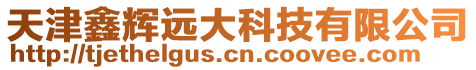 天津鑫輝遠大科技有限公司