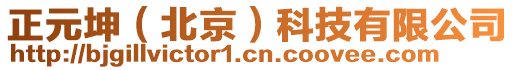 正元坤（北京）科技有限公司