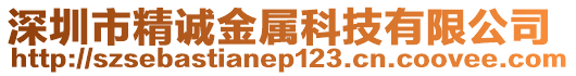 深圳市精誠金屬科技有限公司