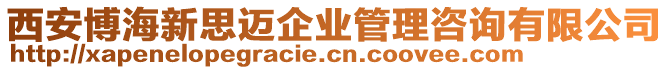 西安博海新思邁企業(yè)管理咨詢有限公司