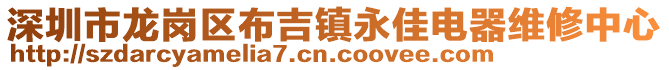 深圳市龙岗区布吉镇永佳电器维修中心