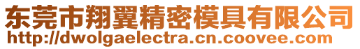 東莞市翔翼精密模具有限公司