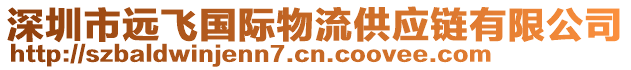 深圳市遠飛國際物流供應(yīng)鏈有限公司