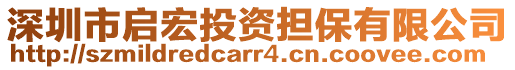 深圳市啟宏投資擔保有限公司