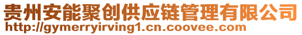 貴州安能聚創(chuàng)供應(yīng)鏈管理有限公司