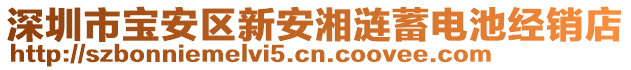 深圳市寶安區(qū)新安湘漣蓄電池經(jīng)銷店