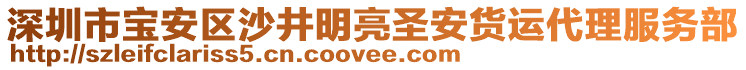 深圳市寶安區(qū)沙井明亮圣安貨運代理服務(wù)部