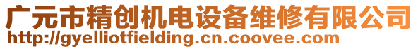 廣元市精創(chuàng)機電設(shè)備維修有限公司