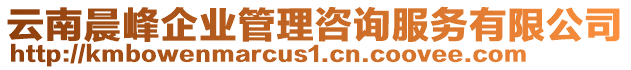 云南晨峰企業(yè)管理咨詢服務(wù)有限公司