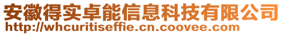 安徽得實(shí)卓能信息科技有限公司