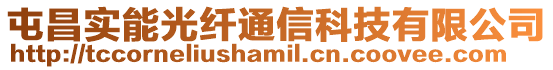 屯昌實(shí)能光纖通信科技有限公司