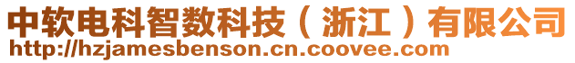 中軟電科智數(shù)科技（浙江）有限公司