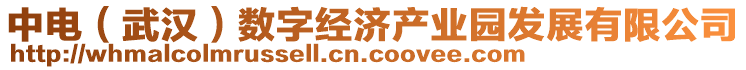 中電（武漢）數(shù)字經(jīng)濟(jì)產(chǎn)業(yè)園發(fā)展有限公司