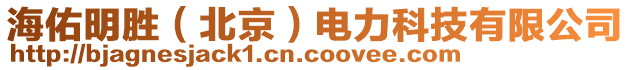 海佑明勝（北京）電力科技有限公司