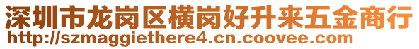 深圳市龍崗區(qū)橫崗好升來(lái)五金商行