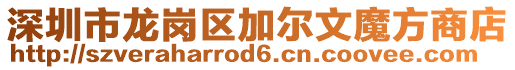 深圳市龍崗區(qū)加爾文魔方商店