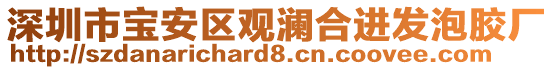 深圳市寶安區(qū)觀瀾合進(jìn)發(fā)泡膠廠