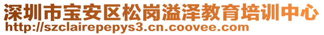 深圳市寶安區(qū)松崗溢澤教育培訓(xùn)中心