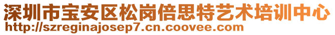 深圳市寶安區(qū)松崗倍思特藝術培訓中心