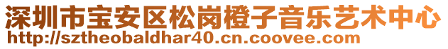 深圳市寶安區(qū)松崗橙子音樂藝術(shù)中心