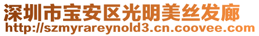 深圳市寶安區(qū)光明美絲發(fā)廊