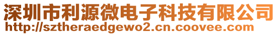 深圳市利源微電子科技有限公司