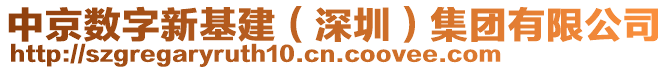 中京數(shù)字新基建（深圳）集團(tuán)有限公司