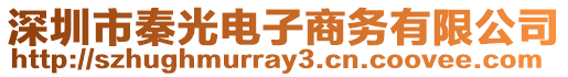 深圳市秦光電子商務(wù)有限公司