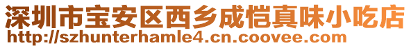 深圳市寶安區(qū)西鄉(xiāng)成愷真味小吃店