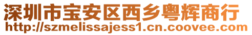 深圳市寶安區(qū)西鄉(xiāng)粵輝商行