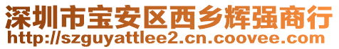 深圳市寶安區(qū)西鄉(xiāng)輝強(qiáng)商行