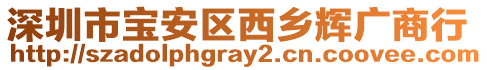 深圳市寶安區(qū)西鄉(xiāng)輝廣商行