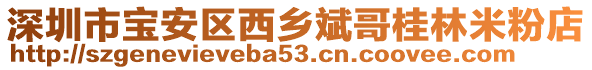 深圳市寶安區(qū)西鄉(xiāng)斌哥桂林米粉店