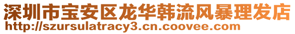 深圳市寶安區(qū)龍華韓流風(fēng)暴理發(fā)店