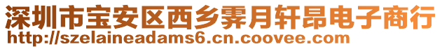 深圳市寶安區(qū)西鄉(xiāng)霽月軒昂電子商行